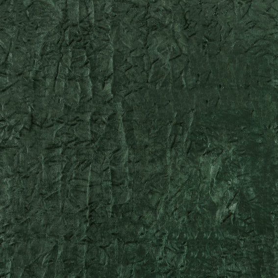 Kassaro Forest