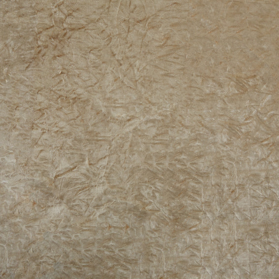 Kassaro Wheat