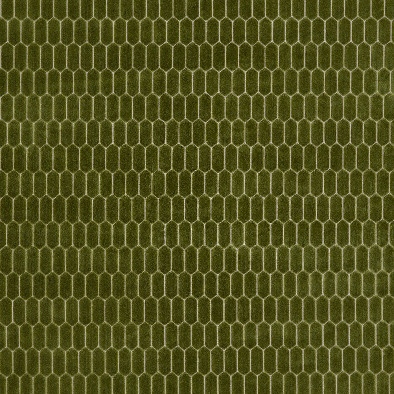 Rialta Fern