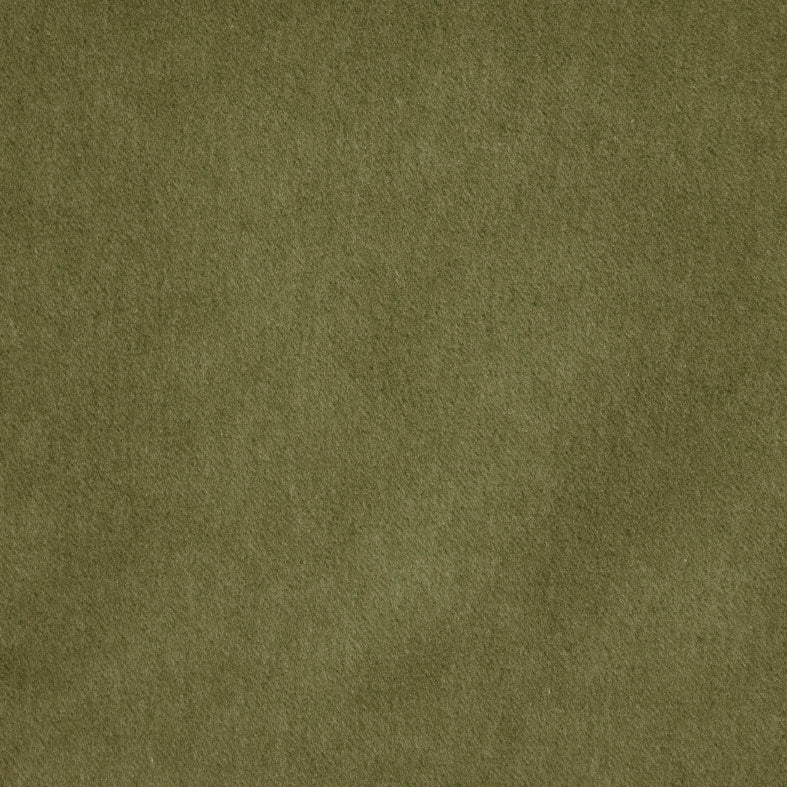 Savona Olive