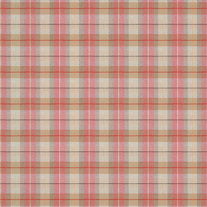 LF1565FR 2 Salmon Check