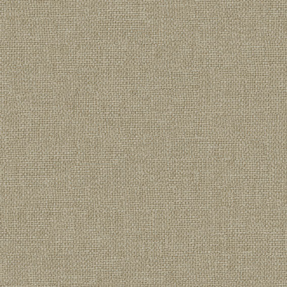 LF1991FR Delta II 2 Grain
