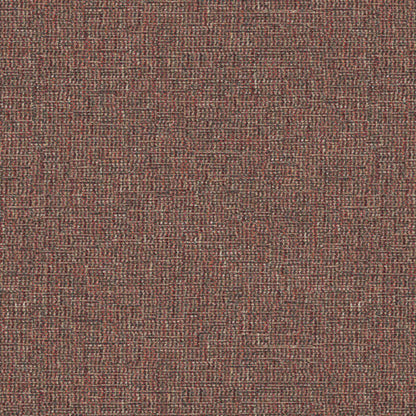 LF2169FR Tamar 9 Elderberry