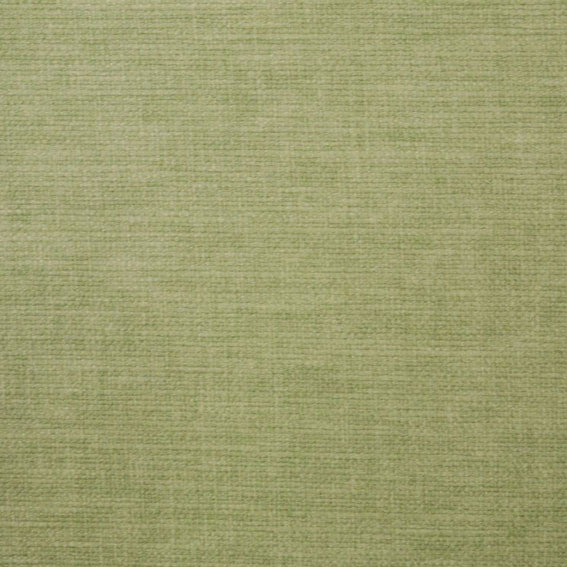 Lunar Olive