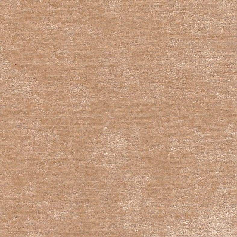 Lush Camel