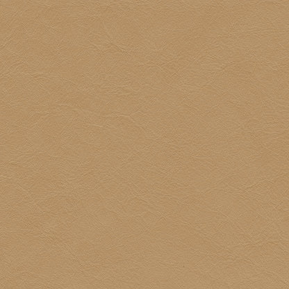 Matisse Ochre