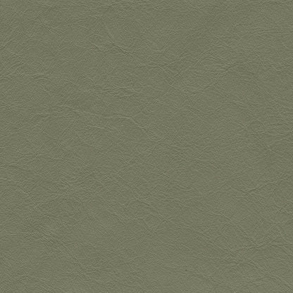 Matisse Olive