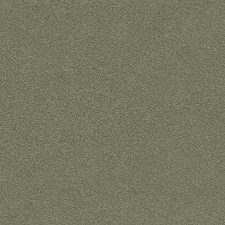 Matisse Olive
