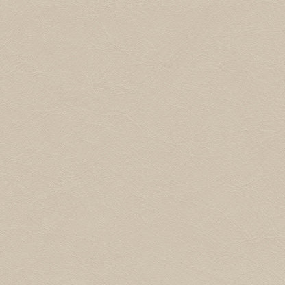 Matisse Parchment