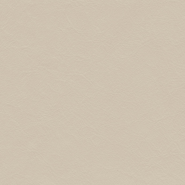Matisse Parchment