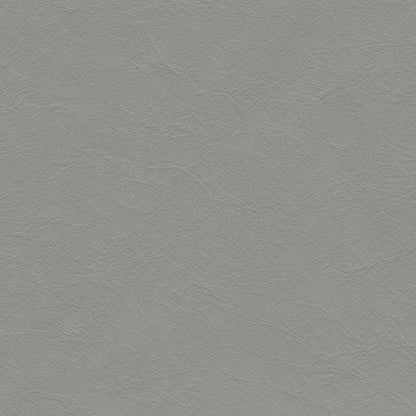 Matisse Silver