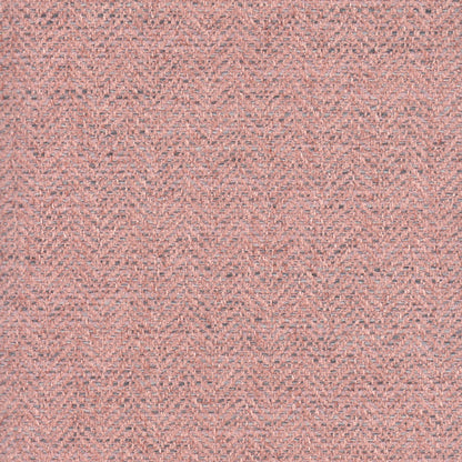 Mona Coral