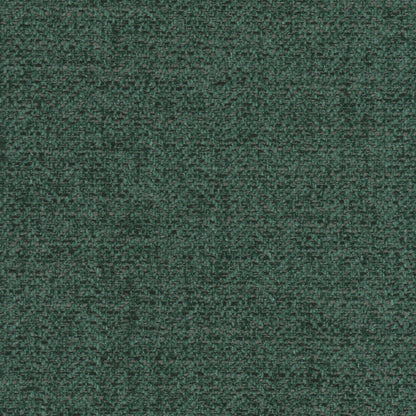 Mona Forest