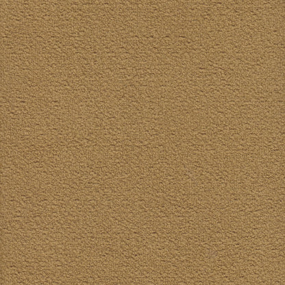 Orlando Ochre