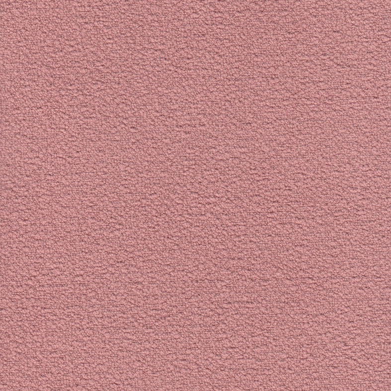 Orlando Sorbet