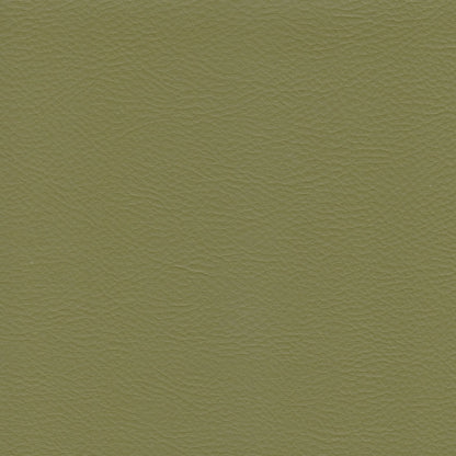 Principal Plus Fern