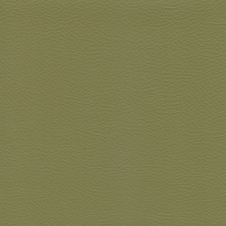 Principal Plus Fern