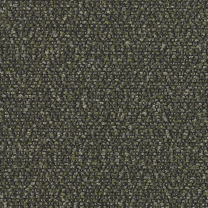 Provence Olive