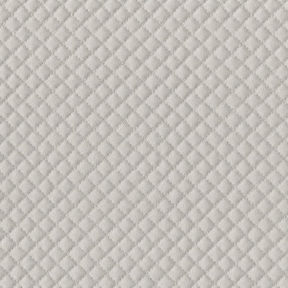 Quantum Parchment