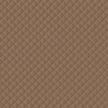 Quantum Terra