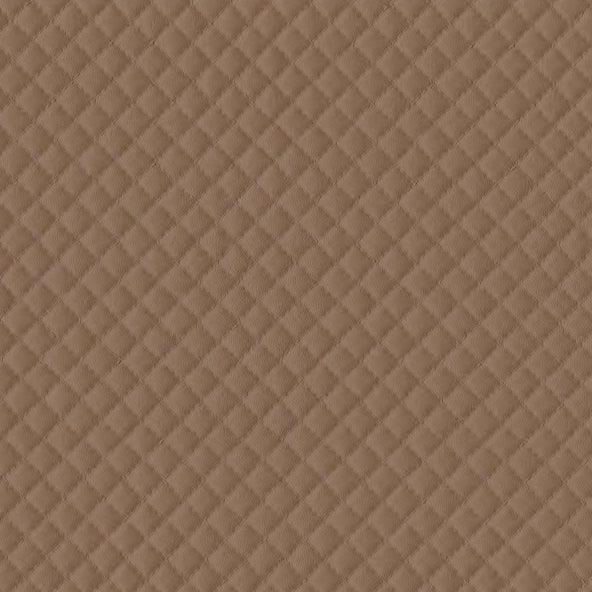 Quantum Terra