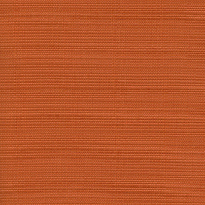 Rossi Tangerine