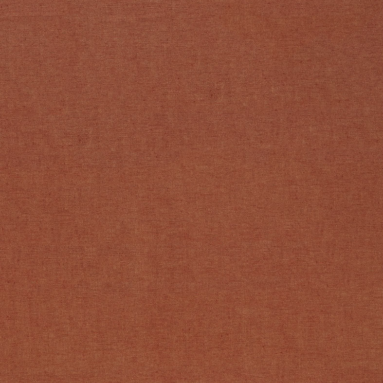 Saluzzo Apricot