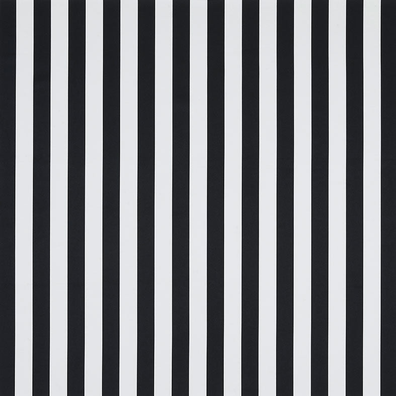 Monochrome Stripe