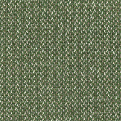 Senso Moss