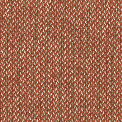 Senso Sienna