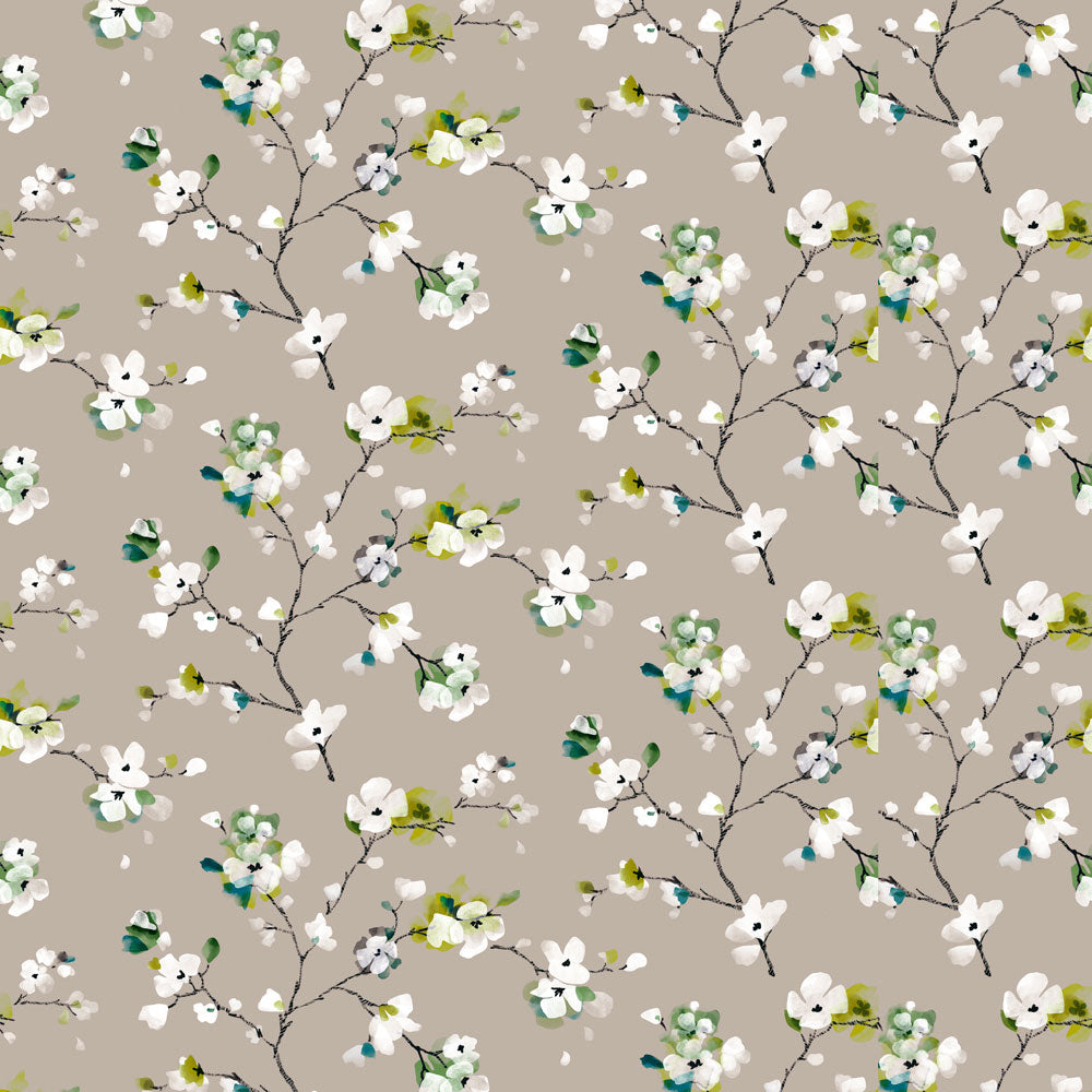 Springtime Apple