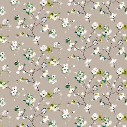 Springtime Apple