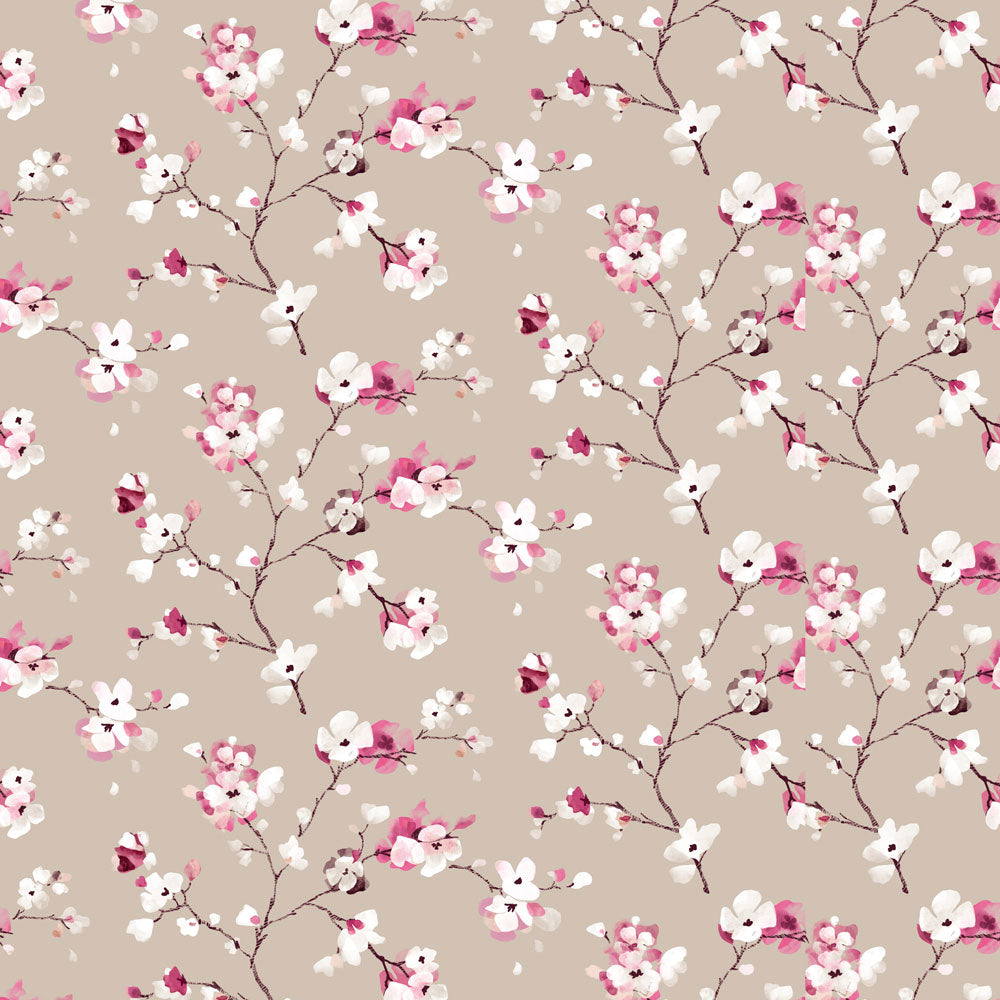 Springtime Cherry