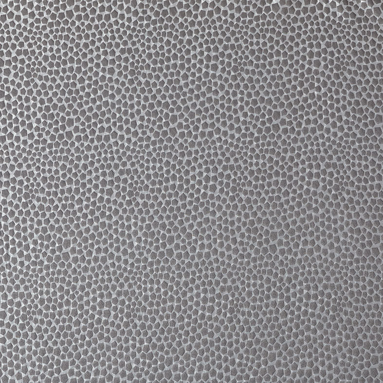 Taurus Graphite