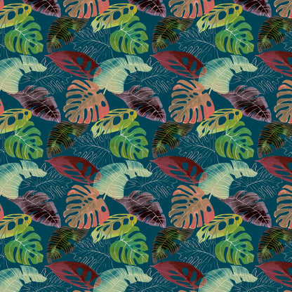 Tropics Borneo