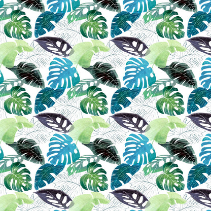 Tropics Daintree