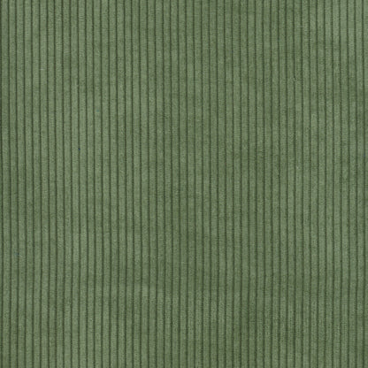 Aspen Olive