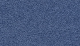 Plush Blue Indigo