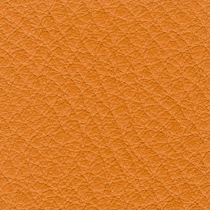 Borea Arancio