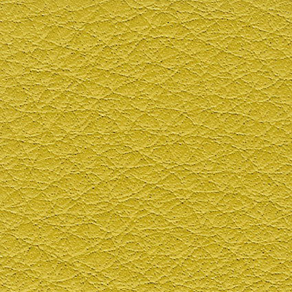 Borea Giallo