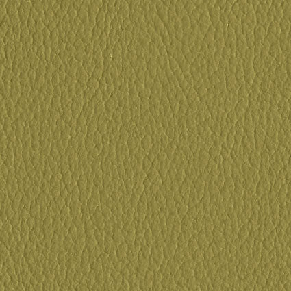 Brezza Avocado