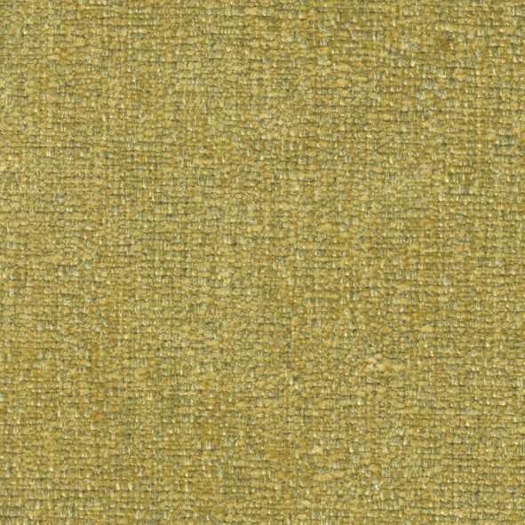 Jessica Forsythia