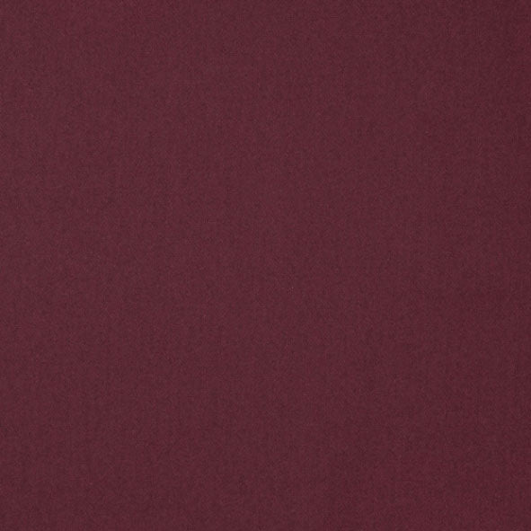 LF1921FR 19 Ruby