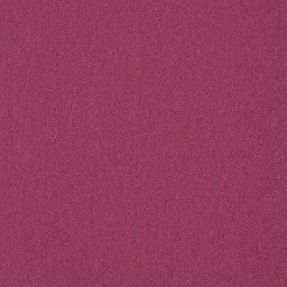 LF1921FR 23 Raspberry