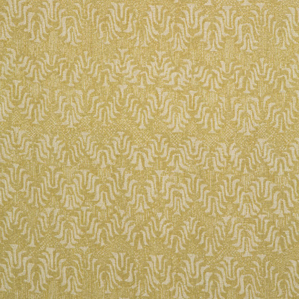 LF1927C Tyger 2 Maize