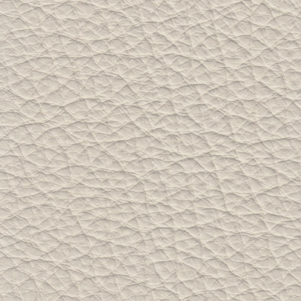Monsone Ostrica