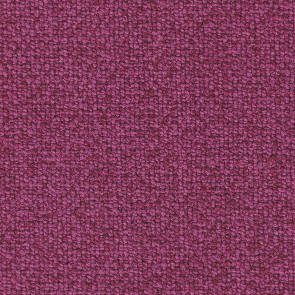 Nuzzle Raspberry