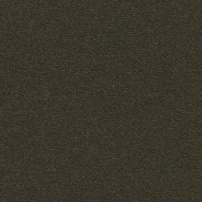 Prairie Earth