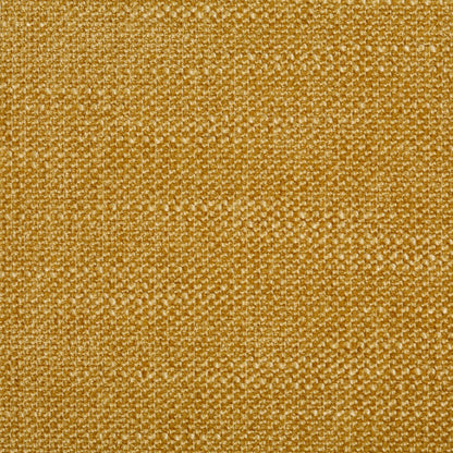 Silex Forsythia