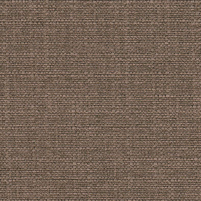 Sky Chestnut